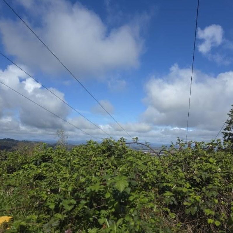 “Save the Blood, Tell Your&nbsp;Tale”