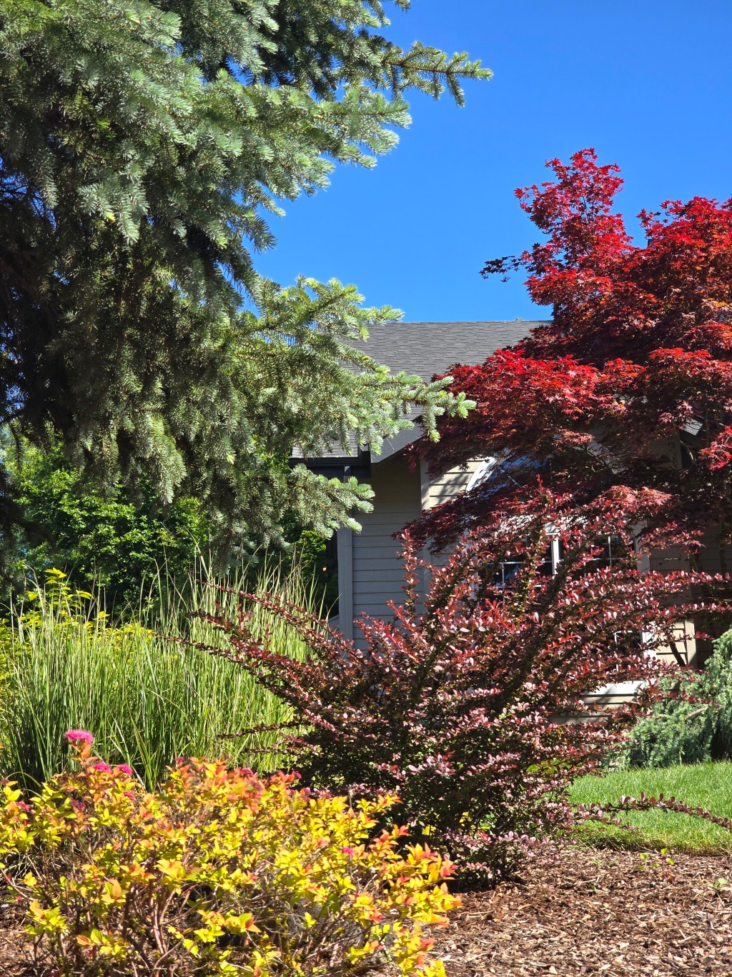 The Weight of My&nbsp;Genes