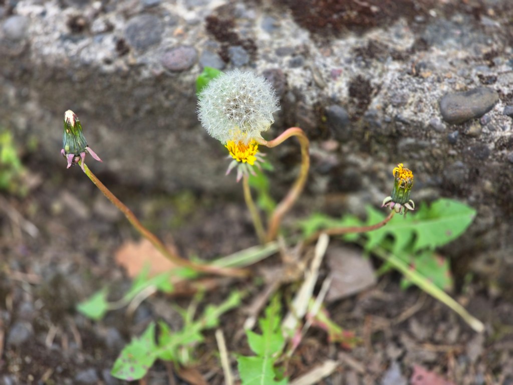 They Prayed For A&nbsp;Daughter
