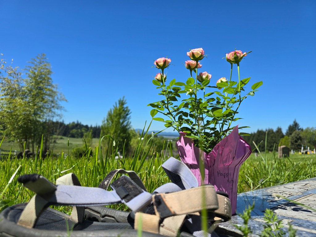 Curious Birds Wonder What’s&nbsp;Below