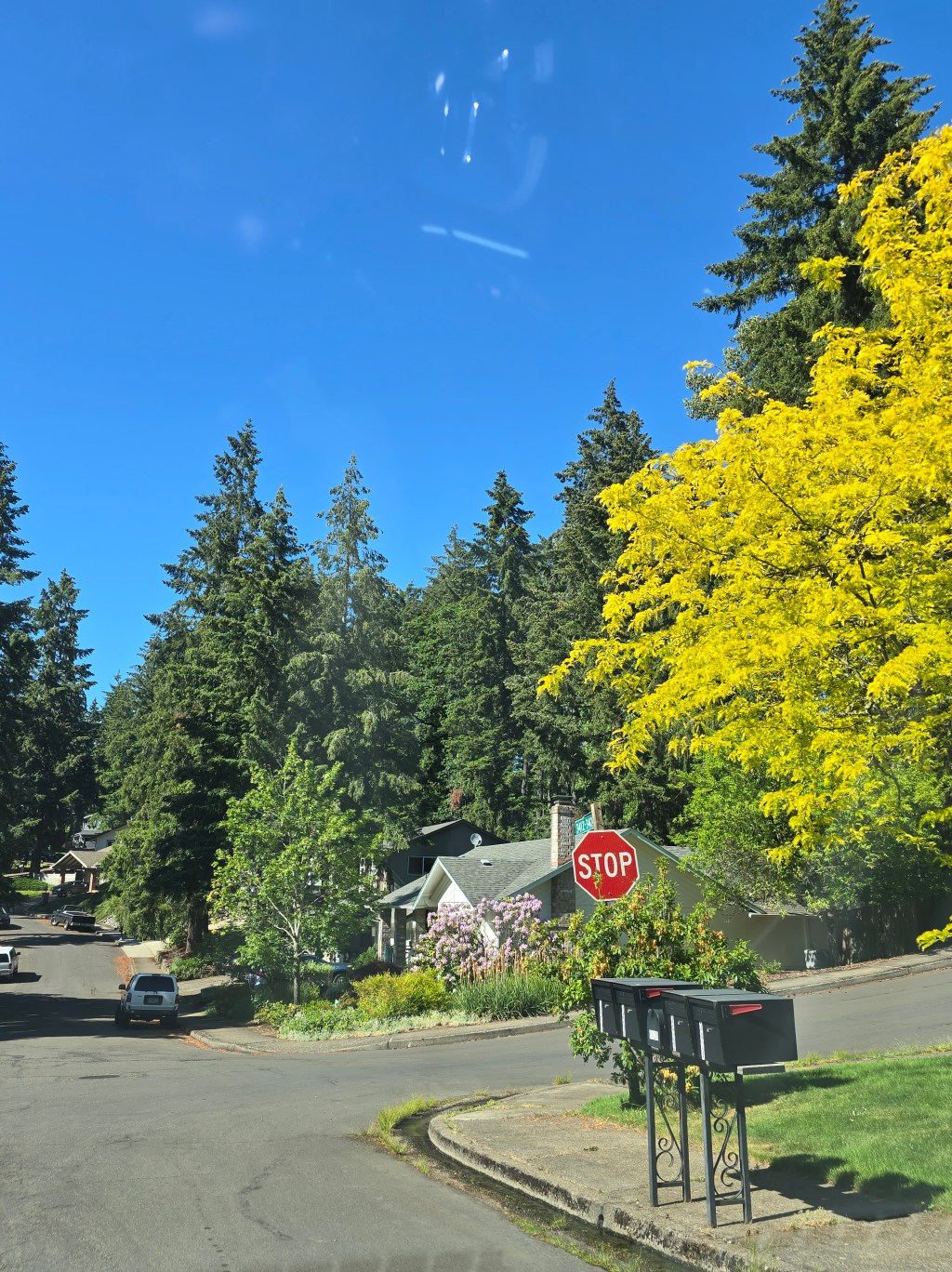 Flapping My Jaw, Test&nbsp;Post