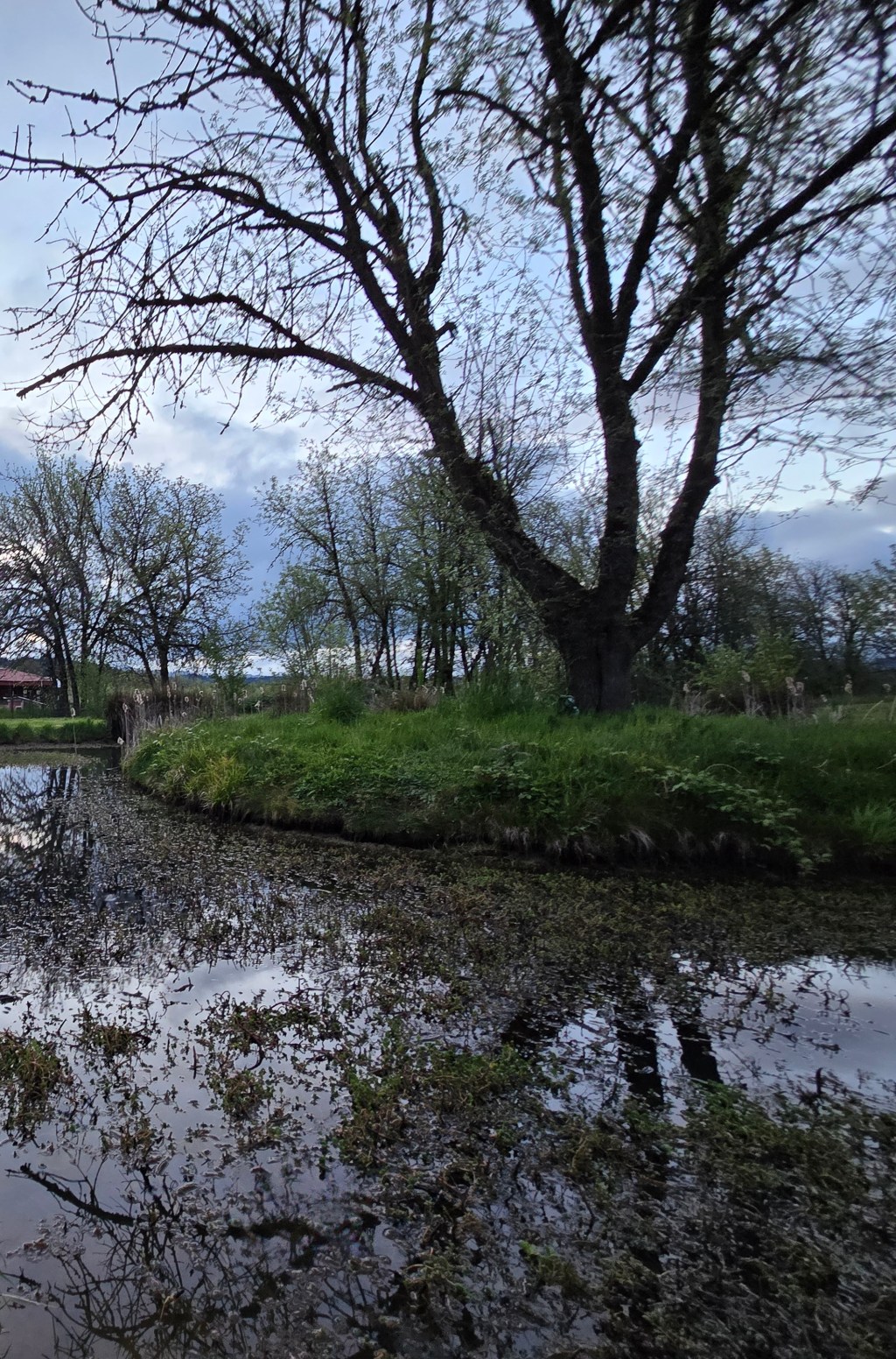 Was I Born&nbsp;Lost?