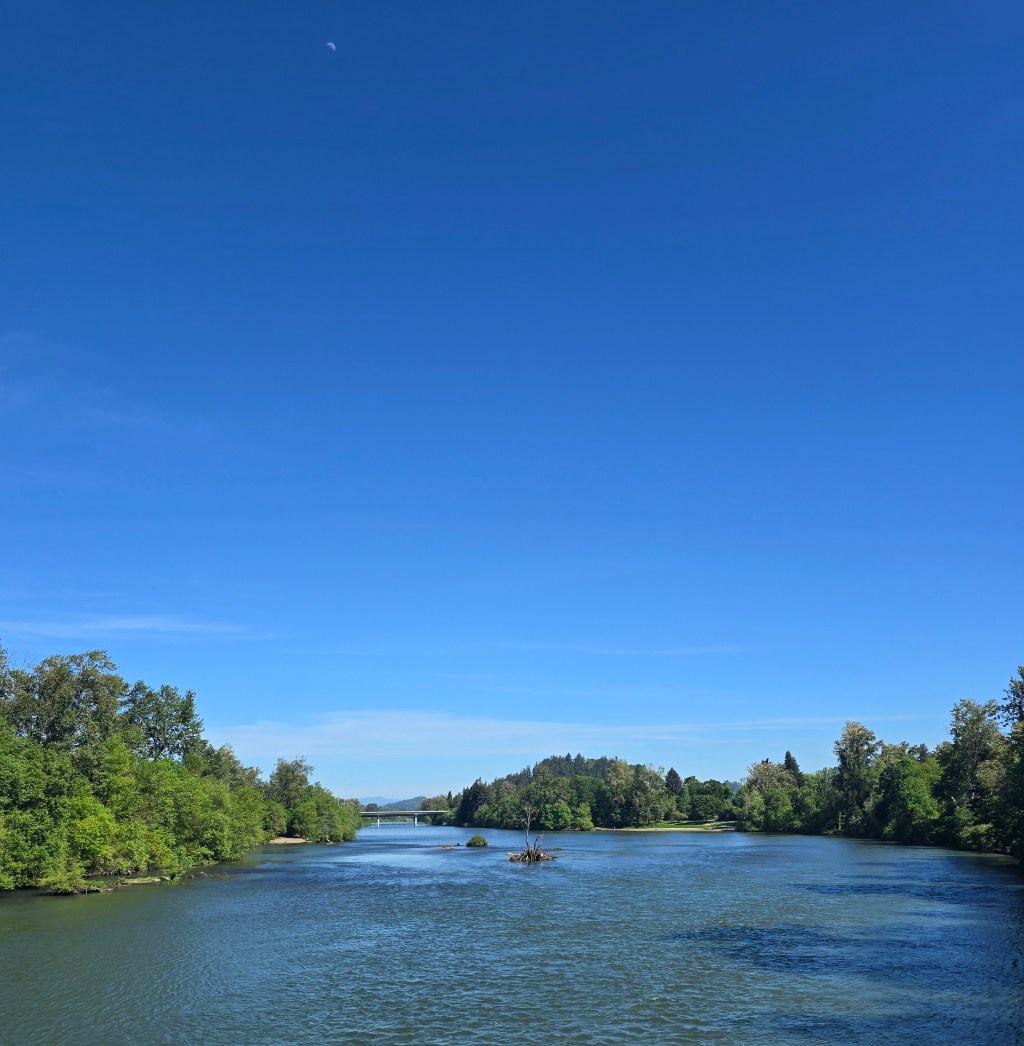 She Gives Us What She&nbsp;Has.