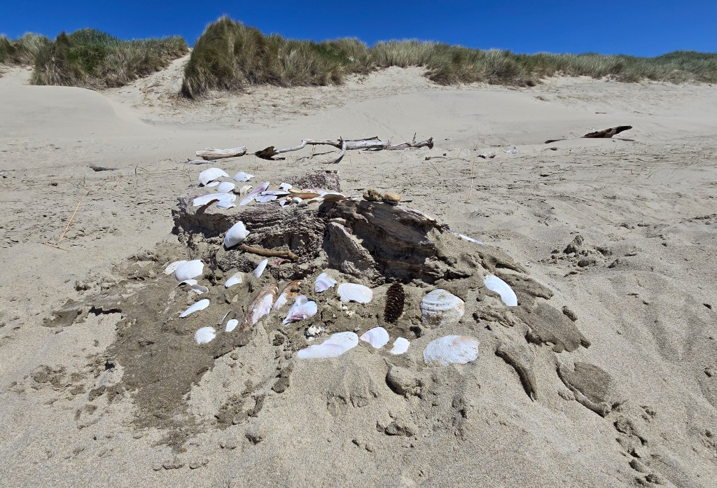 What Will They&nbsp;Say?