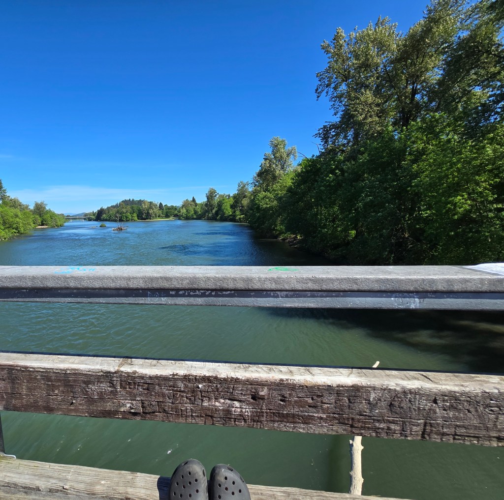 Flying is New to the Birds Raised to&nbsp;Swim