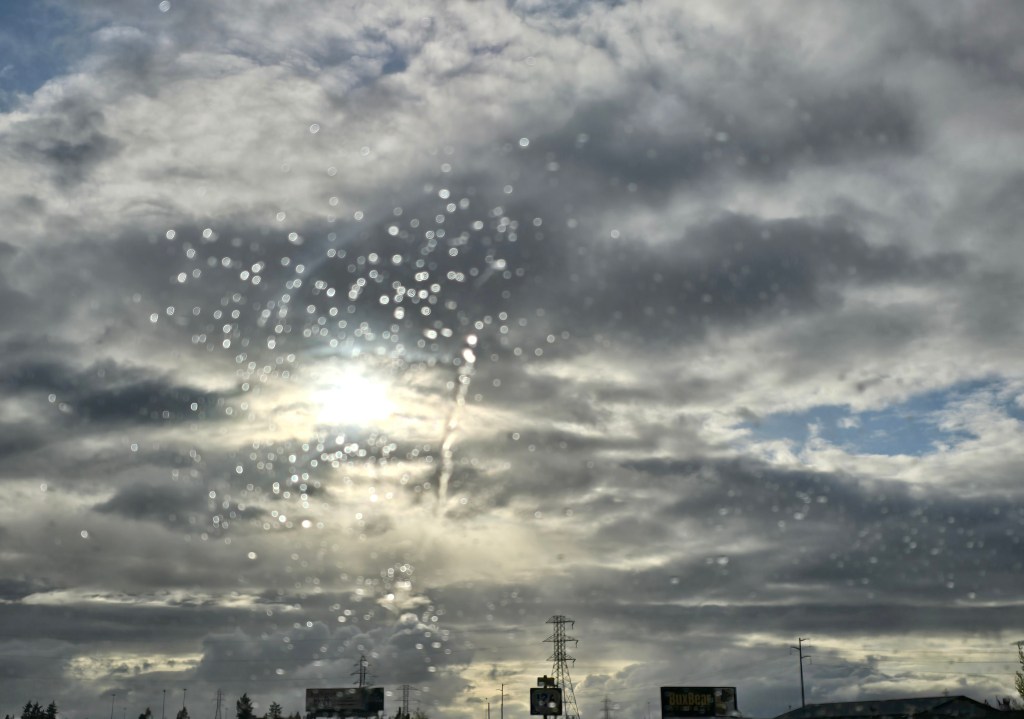 One Life to&nbsp;Live