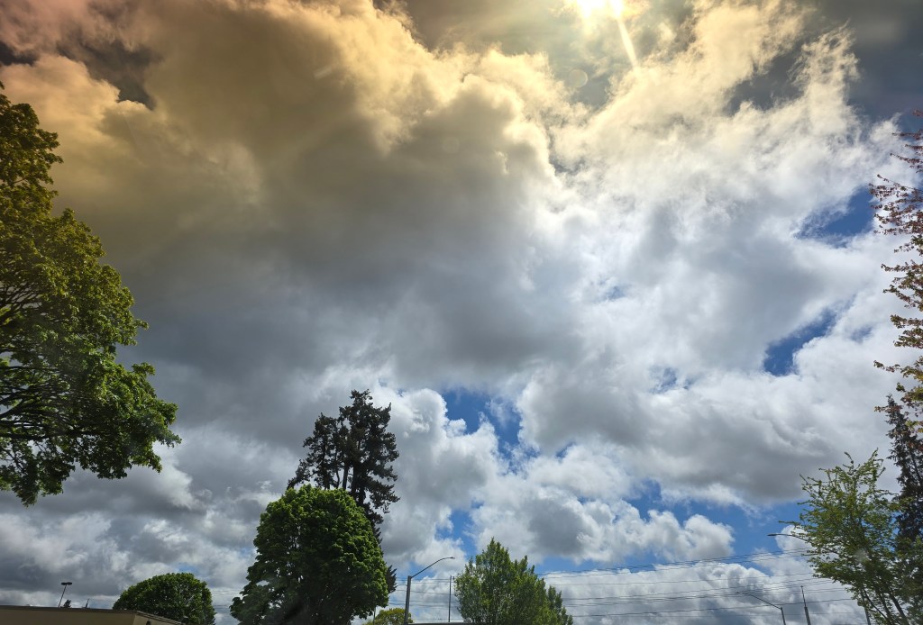 “Screaming Birds Sound an Awful Lot Like Singing”