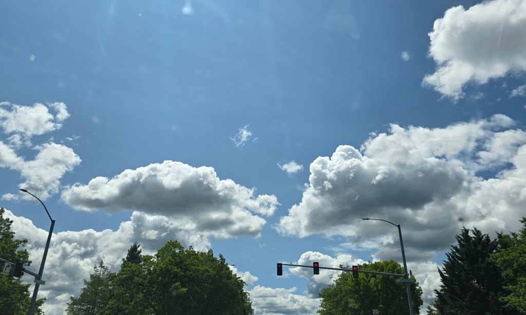 Cages Raised in Our Mind