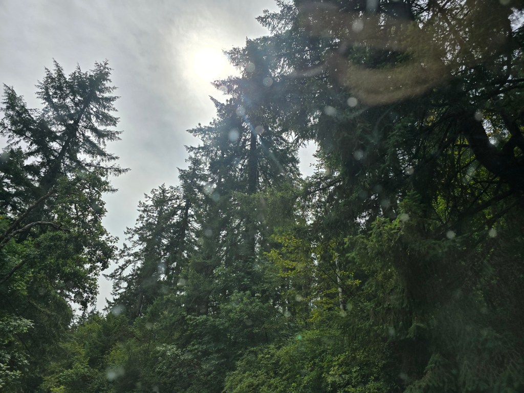 Mama Painted the Prettiest&nbsp;Flowers