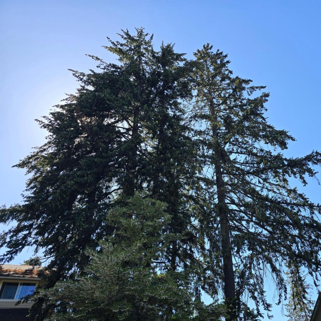 I Smell the Patriarchy from a Mile&nbsp;Away