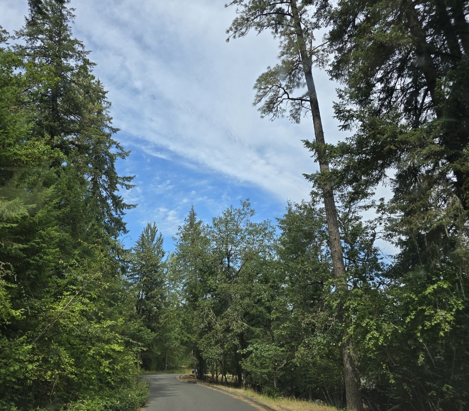 When Do Dreams Become&nbsp;Nightmares?