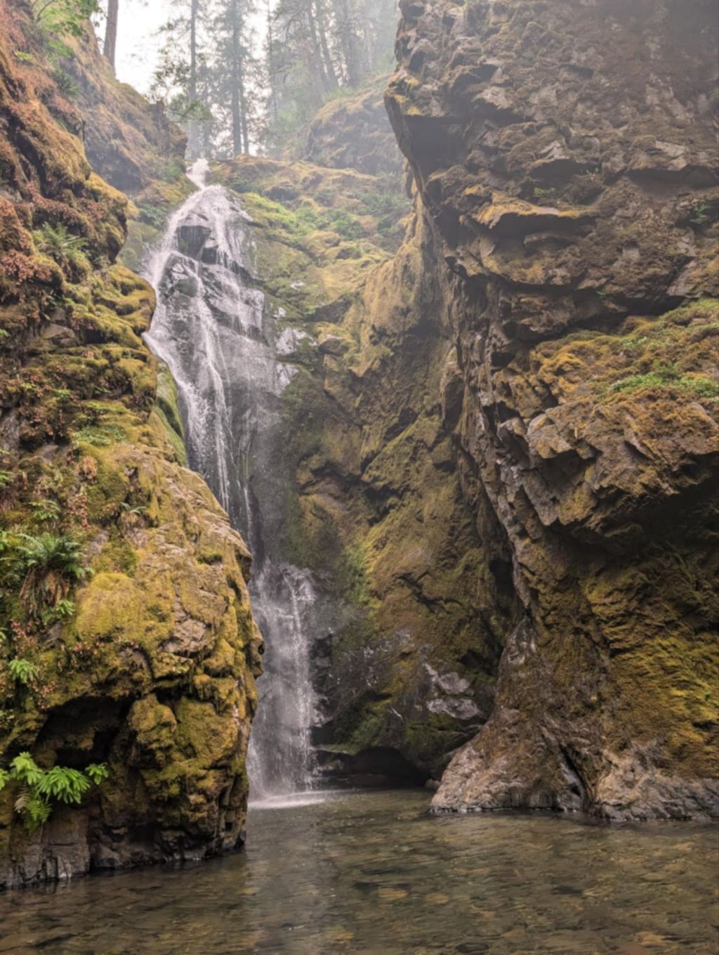 Her Dreams Jumped off The&nbsp;Cliff