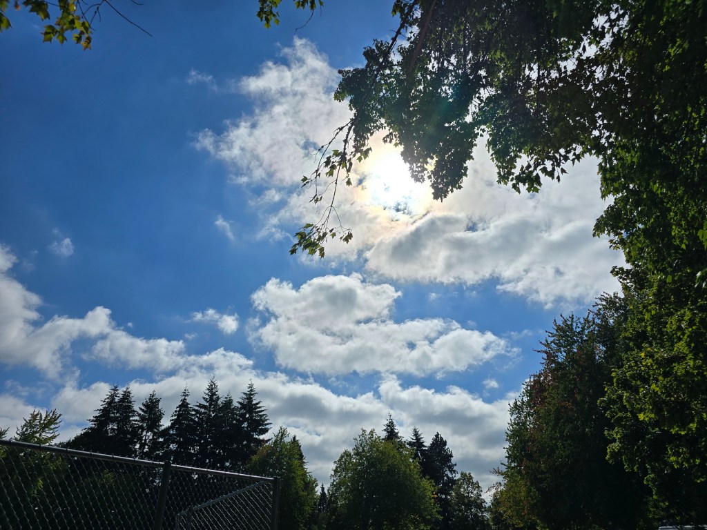 What the Trees&nbsp;Know