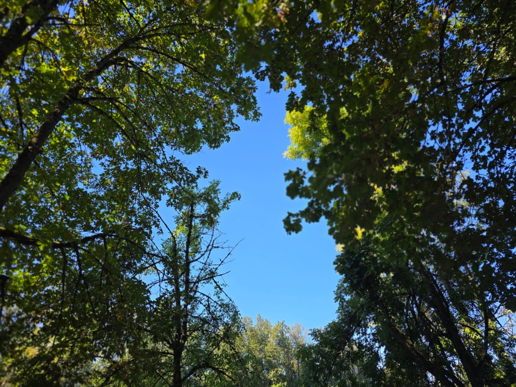 Mom, Are You Reading&nbsp;This?