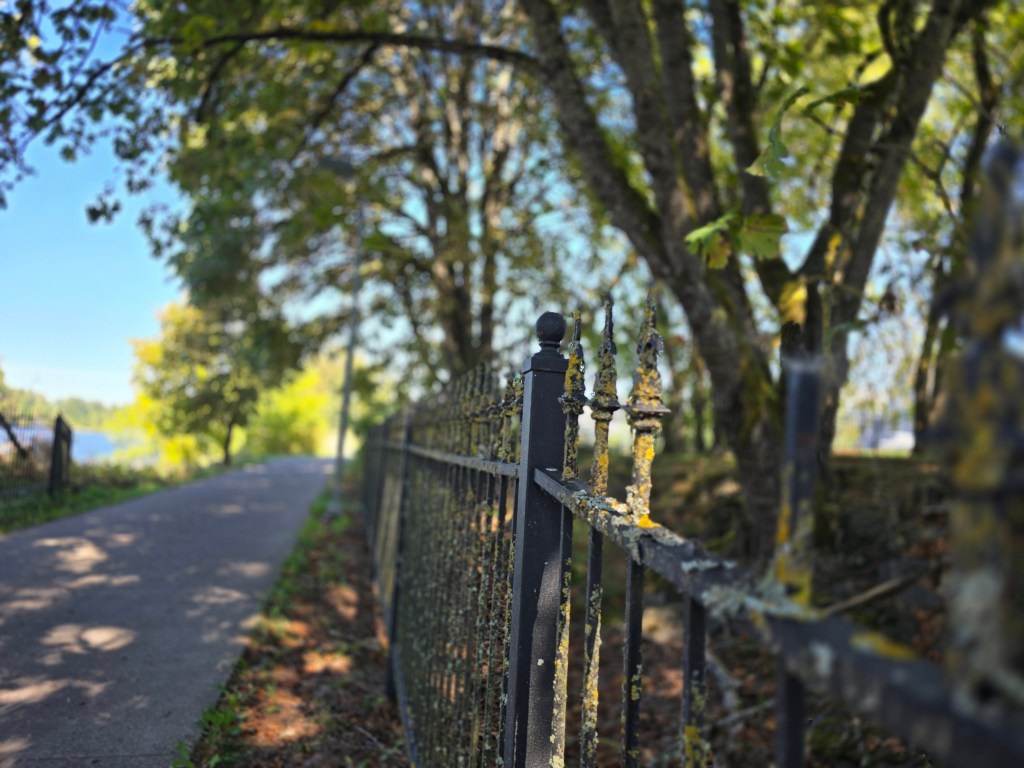 Writers Write: Part&nbsp;2