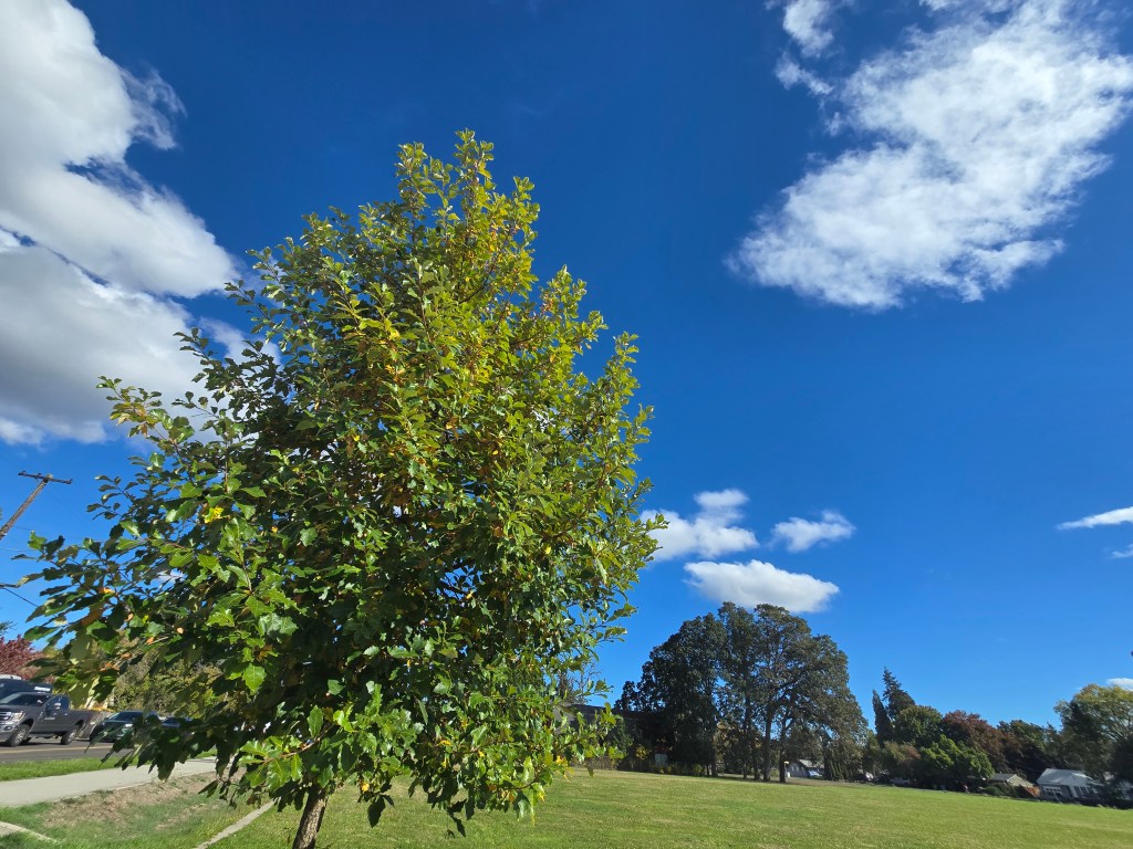 The Breaks Caught Fire; I’m&nbsp;Okay