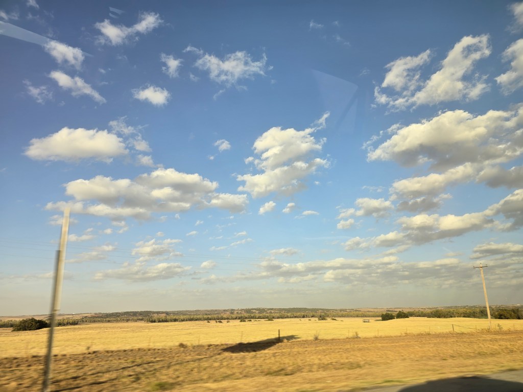 My Daddy Taught&nbsp;Me