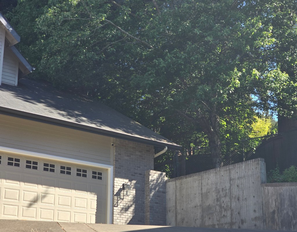 Raised in a Lion’s&nbsp;Den